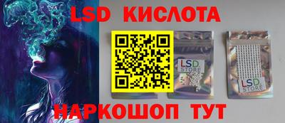 прущие крисы Камышлов
