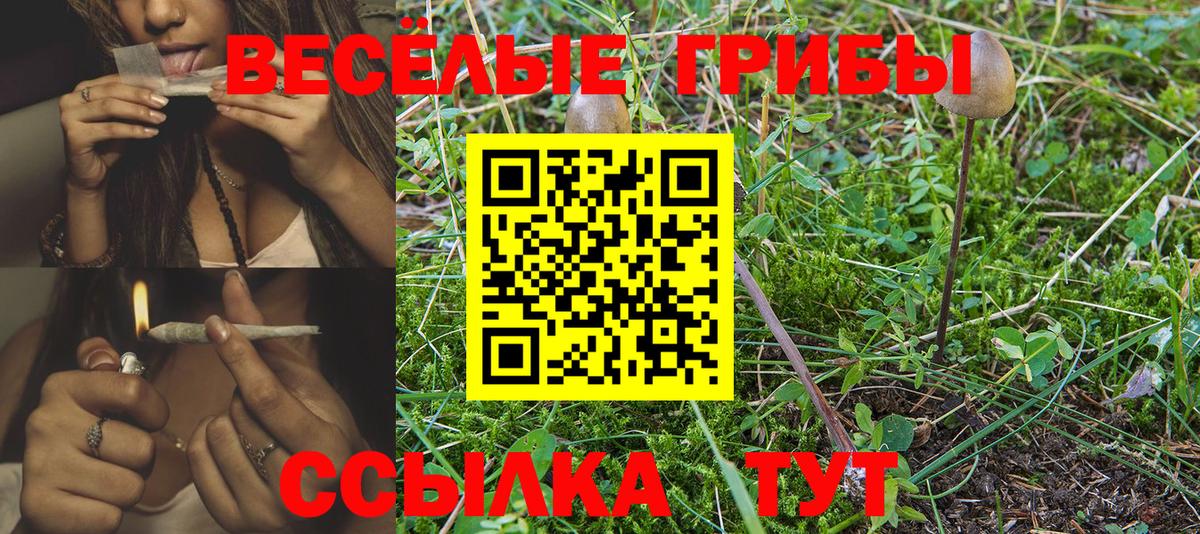 Котельники  Галлюциногенные грибы GOLDEN TEACHER  Псилоцибиновые грибы Psilocybe  Вход с VPN 